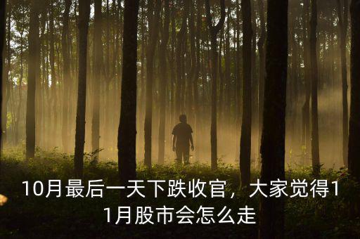 10月最后一天下跌收官，大家覺得11月股市會怎么走