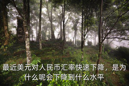 最近美元對(duì)人民幣匯率快速下降，是為什么呢會(huì)下降到什么水平
