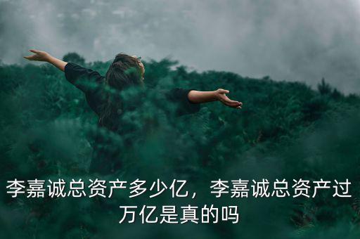 李嘉誠總資產多少億，李嘉誠總資產過萬億是真的嗎