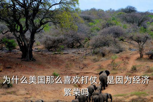 為什么美國(guó)那么喜歡打仗，是因?yàn)榻?jīng)濟(jì)繁榮嗎