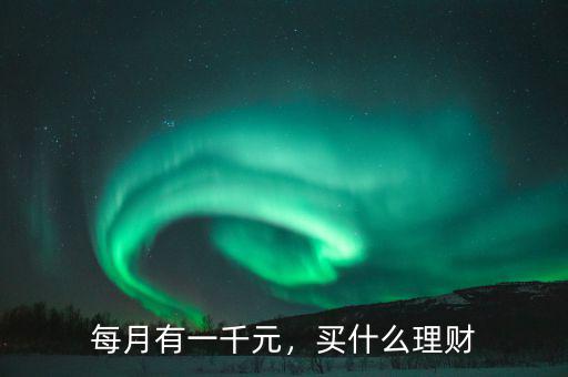 每月有一千元，買什么理財(cái)