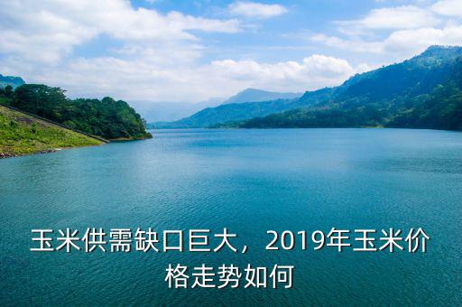 玉米供需缺口巨大，2019年玉米價(jià)格走勢如何