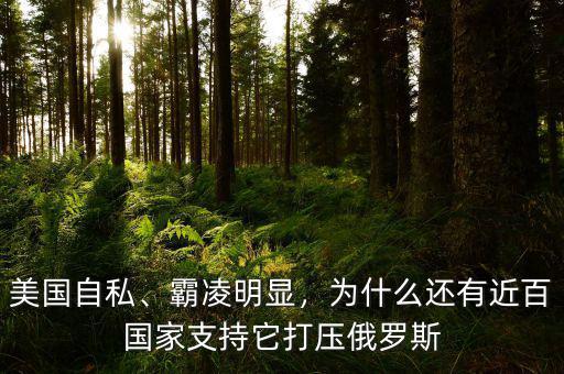 美國自私、霸凌明顯，為什么還有近百國家支持它打壓俄羅斯