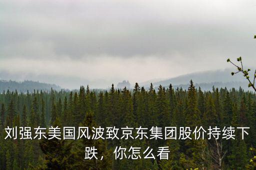 劉強東美國風波致京東集團股價持續(xù)下跌，你怎么看