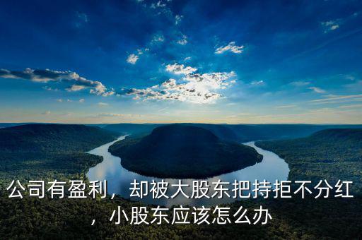 公司有盈利，卻被大股東把持拒不分紅，小股東應(yīng)該怎么辦