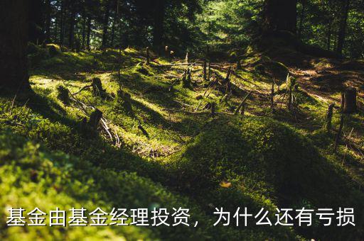 基金由基金經(jīng)理投資，為什么還有虧損