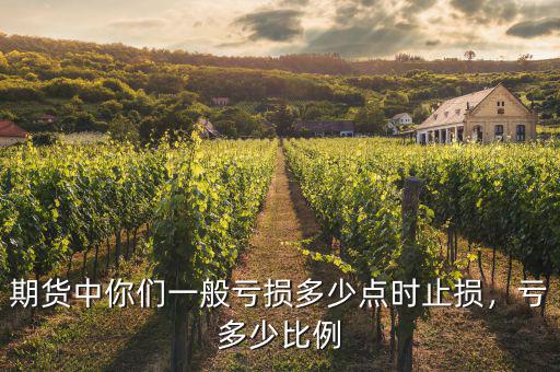 期貨中你們一般虧損多少點(diǎn)時(shí)止損，虧多少比例