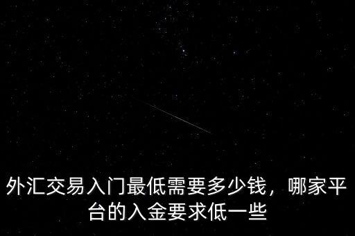 外匯交易入門最低需要多少錢，哪家平臺的入金要求低一些