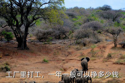 工廠里打工，一年一般可以掙多少錢(qián)