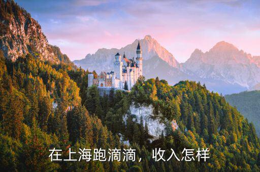 在上海跑滴滴，收入怎樣