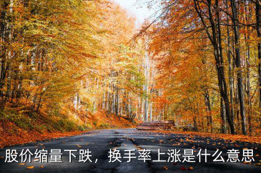 股價(jià)縮量下跌，換手率上漲是什么意思