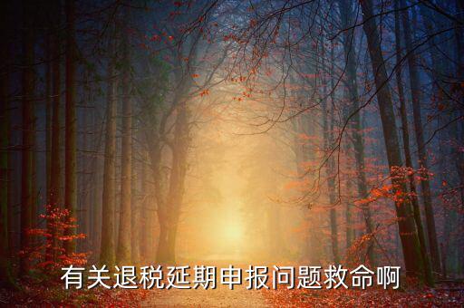 辦理退稅延期需要什么材料，公司出口報(bào)關(guān)單馬上就過三個(gè)月了到稅務(wù)如何辦理退稅延長(zhǎng)期具