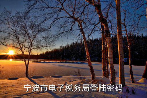 電子稅務(wù)默認(rèn)登錄密碼是什么，稅務(wù)局網(wǎng)站的登入賬戶初始密碼是什么