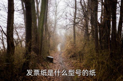 發(fā)票用什么紙，發(fā)票紙是什么型號的紙