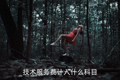 技術(shù)服務(wù)收入計入什么科目，收到技術(shù)服務(wù)費計入什么科目