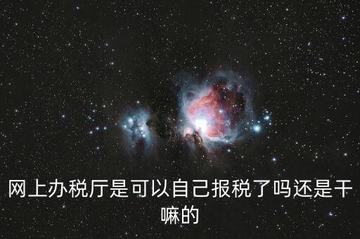 網上辦稅廳是可以自己報稅了嗎還是干嘛的