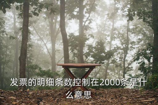 發(fā)票明細什么意思，發(fā)票的明細條數(shù)控制在2000條是什么意思
