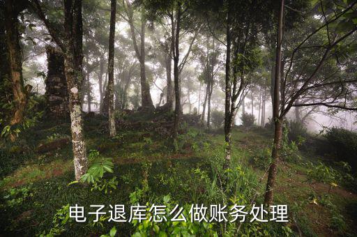 地稅電子退庫入什么科目，電子退庫款退稅款的會計分錄怎么做求解答