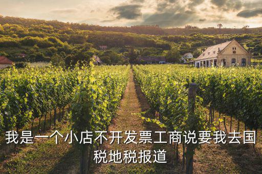 我是一個(gè)小店不開發(fā)票工商說(shuō)要我去國(guó)稅地稅報(bào)道