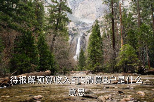 待報解預(yù)算收入ETS清算B戶是什么意思