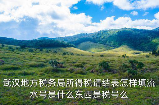 地稅流水號(hào)是什么，納稅人流水號(hào)是什么