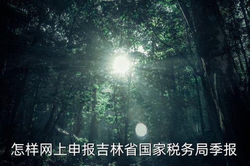 吉林省用什么報稅系統(tǒng)，吉林省的報稅系統(tǒng)如何使用