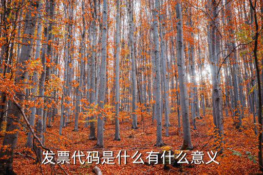 票據(jù)代碼是什么意思，中國航空票證結(jié)算代碼是什么意思