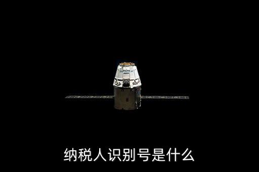 海寧市國家稅務(wù)局認(rèn)別號是什么，納稅人識別號是什么