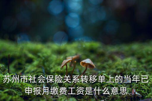 社保已申報(bào)是什么意思，新手求助請(qǐng)問(wèn)網(wǎng)上申報(bào)是什么意思