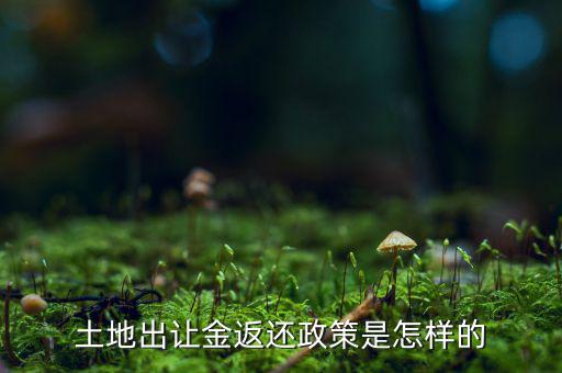 土地返還款是什么，土地返還款繳稅
