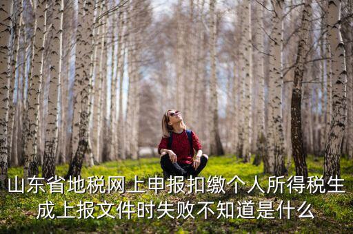 山東地稅網(wǎng)為什么沒法報(bào)稅，山東地稅網(wǎng)上申報(bào)系統(tǒng)網(wǎng)頁無法訪問是什么原因