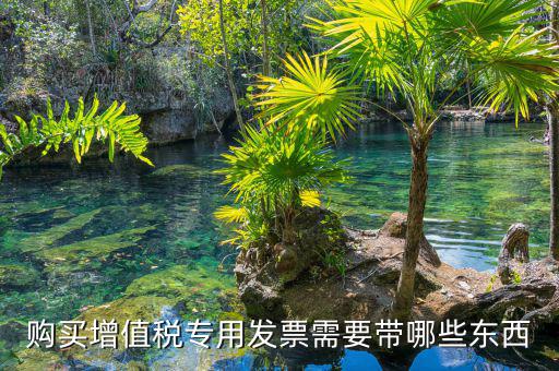 購(gòu)買(mǎi)增值稅專(zhuān)用發(fā)票需要帶哪些東西