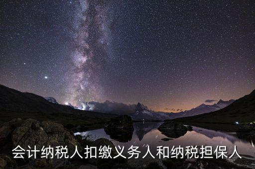 什么叫納稅擔保人，什么是納稅擔保