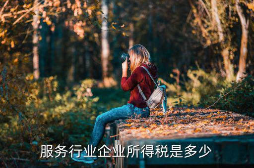 什么是接受服務企業(yè)所得稅，服務行業(yè)企業(yè)所得稅是多少