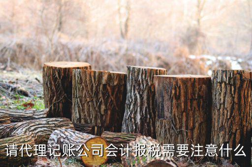 給純地稅做賬注意什么，繳的地稅怎么做帳