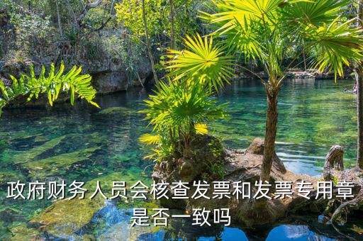 什么情況會(huì)核查發(fā)票，就是稅務(wù)局導(dǎo)出數(shù)據(jù)的時(shí)候會(huì)不會(huì)核對(duì)一下發(fā)票的因?yàn)槲也淮_定自