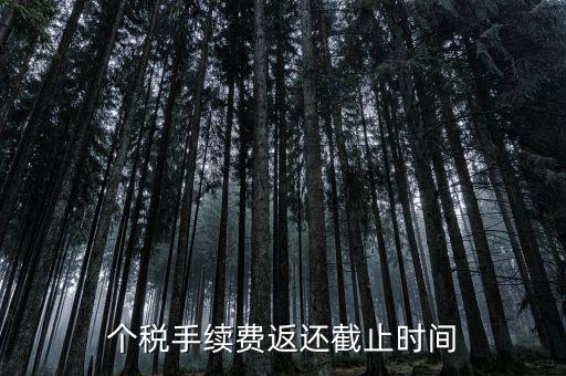 個稅手續(xù)費返還什么時候還，個稅手續(xù)費返還時間