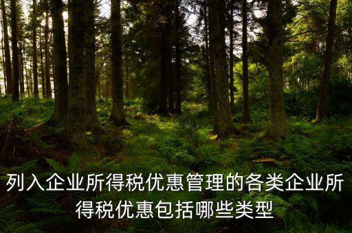 企業(yè)所得稅優(yōu)惠事項(xiàng)名稱指什么，享受企業(yè)所得稅優(yōu)惠申請(qǐng)表中稅收優(yōu)惠事項(xiàng)名稱怎么填