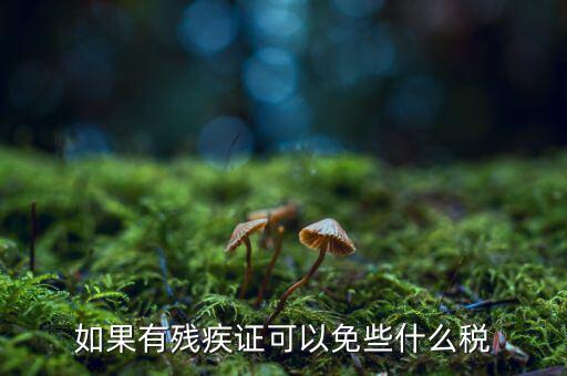 殘疾人免征什么稅，如果有殘疾證可以免些什么稅