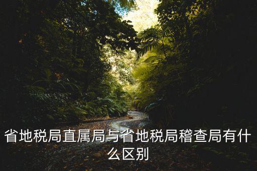 什么是地稅直屬局，國家稅務(wù)局直屬稅務(wù)分局是什么意思