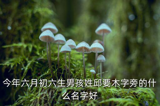 稅什么邱什么的名字，孩子姓邱該取什么名字呢男女都行