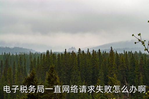 貴州省網上稅務局為什么打不開，怎么打不開貴州地方稅務局網站