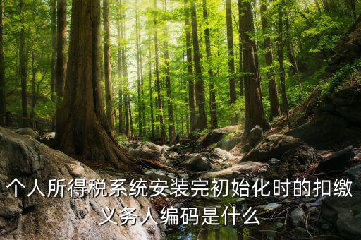 扣繳人義務(wù)編碼是什么，扣繳義務(wù)人編碼是什么啊