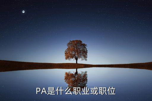 河南省國(guó)稅局陳紅偉什么職務(wù)，PA是什么職業(yè)或職位