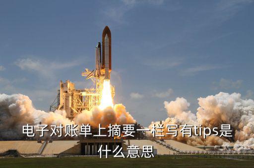 國(guó)稅tips系統(tǒng)指什么，電子對(duì)賬單上摘要一欄寫(xiě)有tips是什么意思