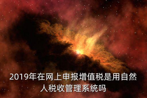 什么是增值稅管理系統(tǒng)，2019年在網(wǎng)上申報(bào)增值稅是用自然人稅收管理系統(tǒng)嗎