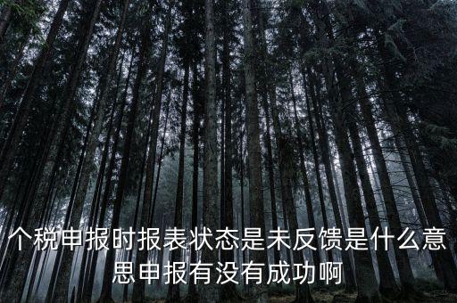 個(gè)稅為什么要獲取反饋信息，個(gè)稅申報(bào)完成后的反饋文件有什么用