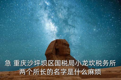 稅務(wù)所所長什么級別，地稅局基層稅務(wù)所屬什么層級