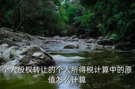 股權(quán)原值是什么，公司注冊(cè)資本是100萬現(xiàn)在要轉(zhuǎn)讓股權(quán)那股權(quán)原值是多少股權(quán)轉(zhuǎn)