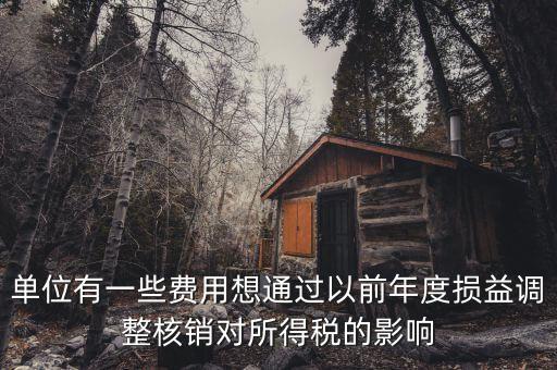 單位有一些費(fèi)用想通過(guò)以前年度損益調(diào)整核銷對(duì)所得稅的影響